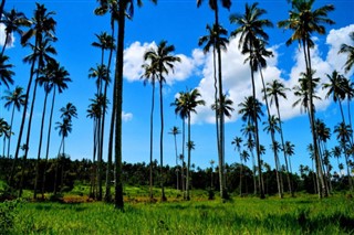 Tanzania weather forecast