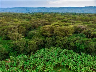 Tanzania prognoza pogody