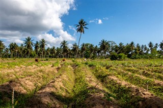 Tanzania weather forecast