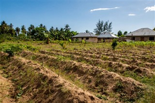 Tanzania weather forecast