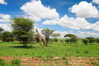 Tanzania weather forecast