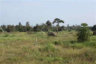 Tanzania weather forecast