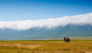 Tanzania weather forecast