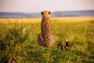 Tanzania pronóstico del tiempo