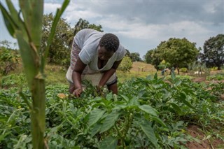 Tanzanija vremenska prognoza