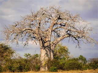 Tanzania weather forecast