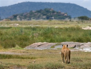 Tanzania prognoza pogody