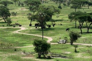 Tanzania weather forecast