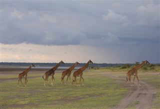 Tanzania weather forecast