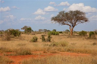 Tanzania weather forecast