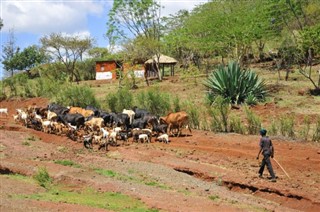 Tanzania weather forecast