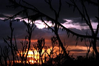 Tanzania weather forecast