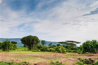 Tanzania weather forecast