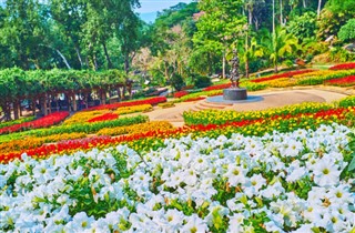 Thailand weather forecast