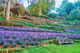 Thailand weather forecast