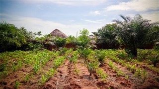 Togo weather forecast