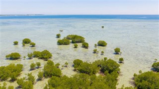 Tokelau weather forecast