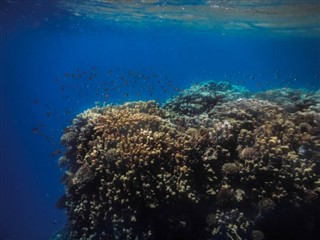 Tokelau weather forecast