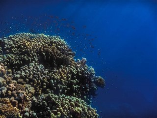 Tokelau weather forecast