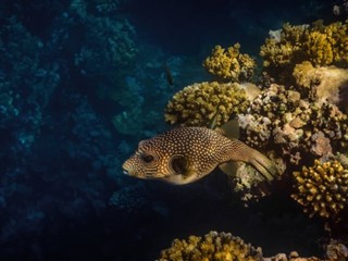 Tokelau prognoza pogody