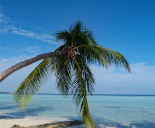 Tokelau weather forecast