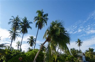 Tokelau weather forecast