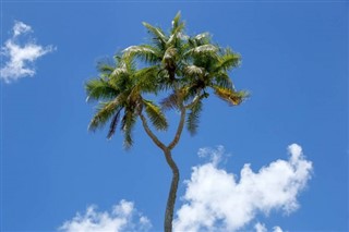 Tonga pronóstico del tiempo