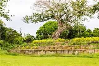 Tonga weather forecast