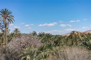 Tunisia weather forecast