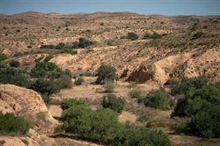 Tunisia weather forecast