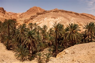 Tunisia weather forecast