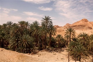 Tunisia weather forecast