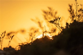 Tunisia weather forecast