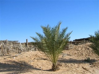 Tunisia weather forecast