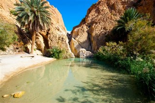 Tunisia weather forecast