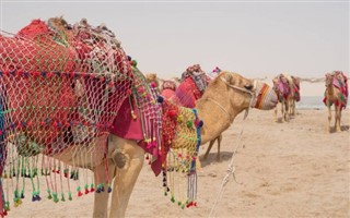 Tunisia weather forecast