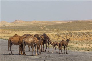 Turkmenistan weather forecast