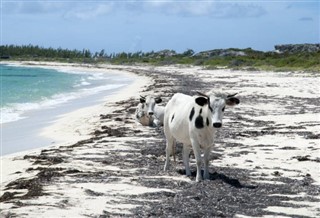 Turks and Caicos Islands weather forecast