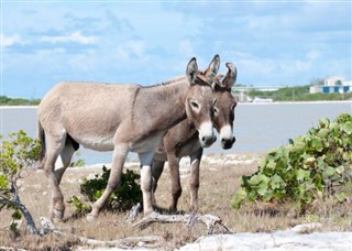 Turks and Caicos Islands weather forecast