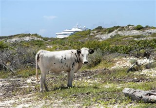 Turks and Caicos Islands weather forecast