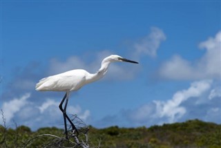 Turks and Caicos Islands weather forecast