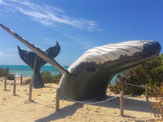 Turks and Caicos Islands weather forecast