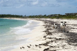 Turks and Caicos Islands weather forecast