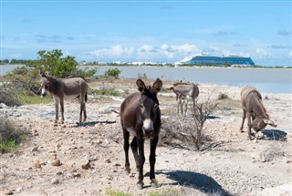 Turks and Caicos Islands weather forecast