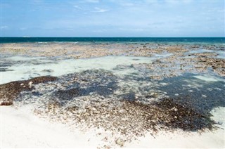 Turks and Caicos Islands weather forecast