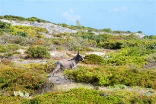 Turks and Caicos Islands weather forecast