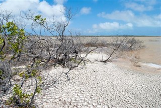 Turks and Caicos Islands weather forecast