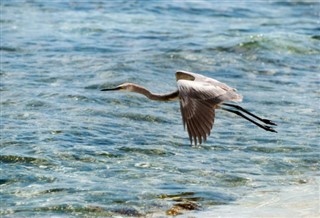 Turks and Caicos Islands weather forecast