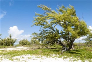 Turks and Caicos Islands weather forecast