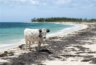 Turks and Caicos Islands weather forecast